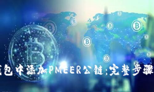 如何在TP钱包中添加PMEER公链：完整步骤和详细指南