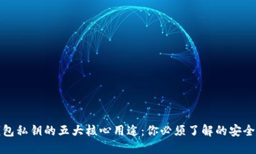 TP钱包私钥的五大核心用途：你必须了解的安全知识