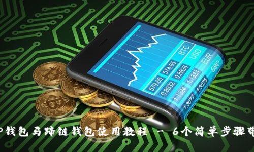 全面解析：TP钱包马蹄链钱包使用教程 - 6个简单步骤带你轻松上手