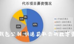 如何查看TP钱包公钥：快速获取你的数字资产安全